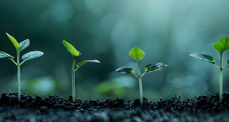 包括的な予算管理プラットフォーム